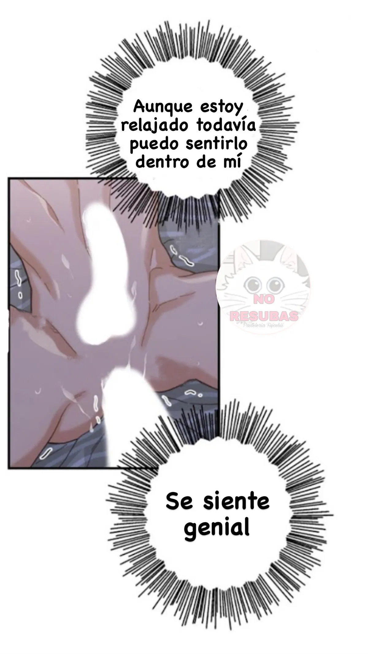 Mi único gato Capítulo 13 en Línea - página 12