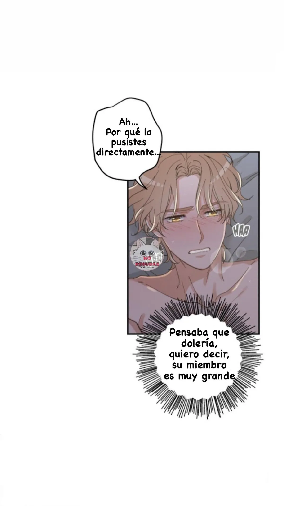 Mi único gato Capítulo 13 en Línea - página 13
