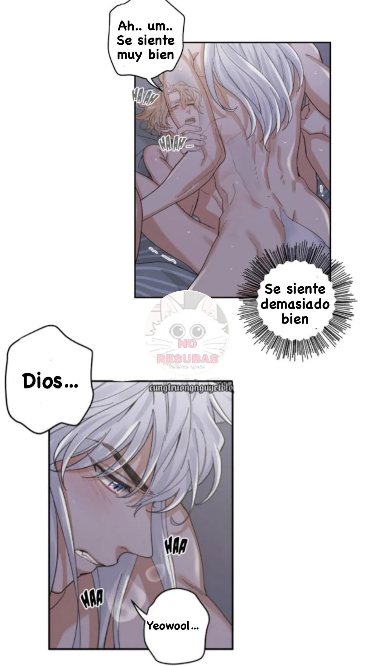Mi único gato Capítulo 13 en Línea - página 14