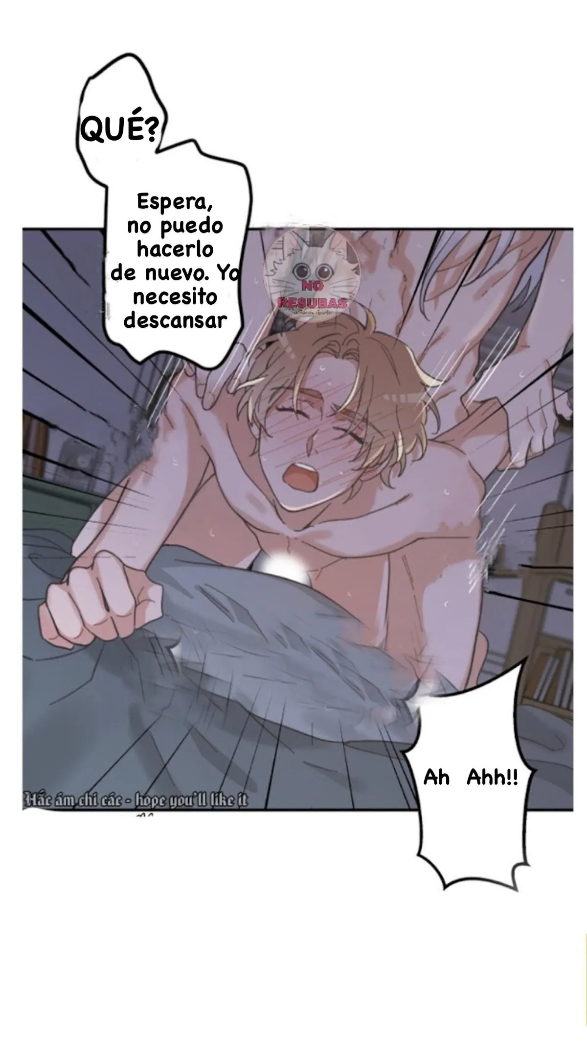Mi único gato Capítulo 13 en Línea - página 26