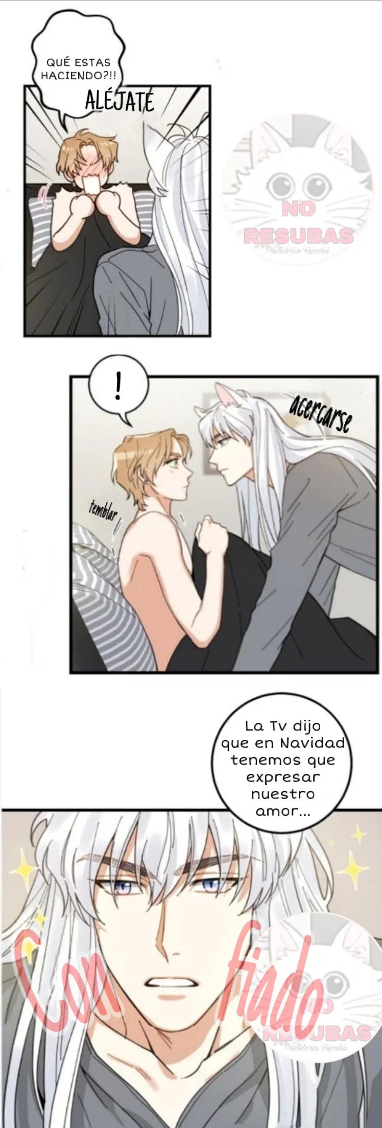 Mi único gato Capítulo 16 en Línea - página 12
