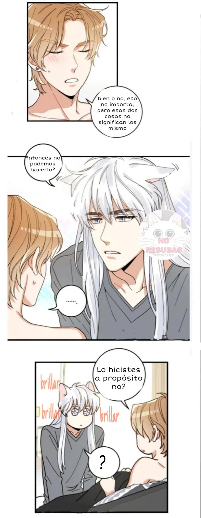 Mi único gato Capítulo 16 en Línea - página 15