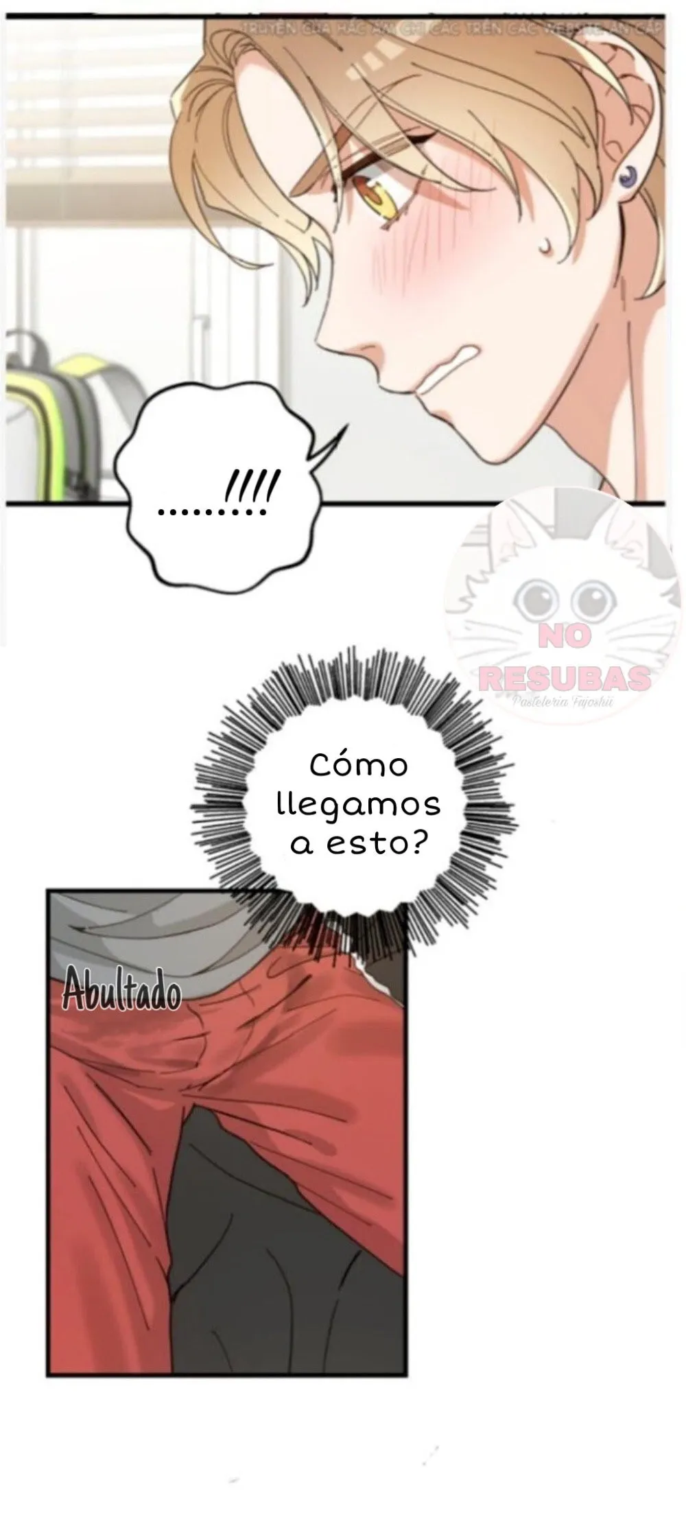 Mi único gato Capítulo 16 en Línea - página 20