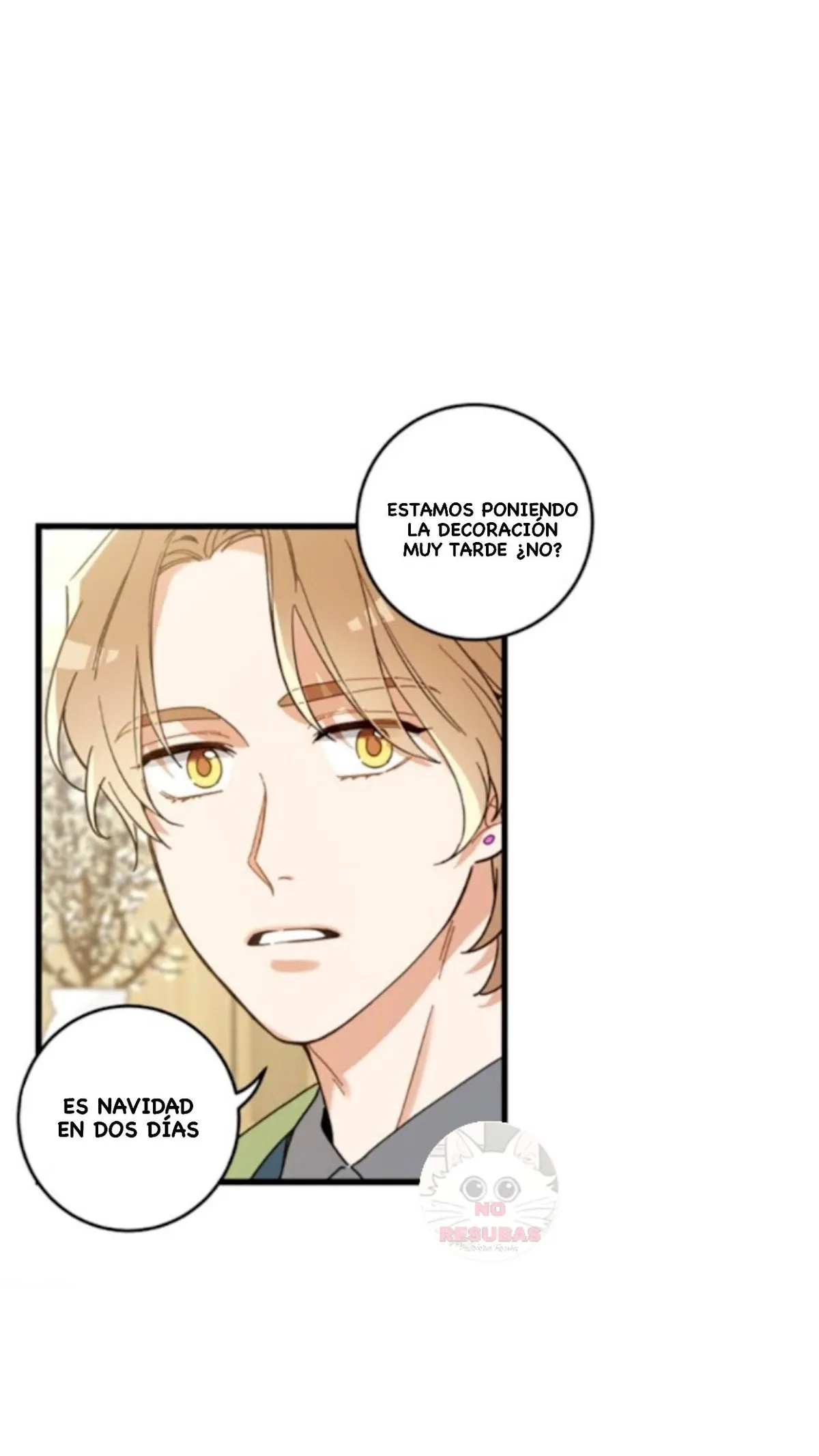 Mi único gato Capítulo 17 en Línea - página 17