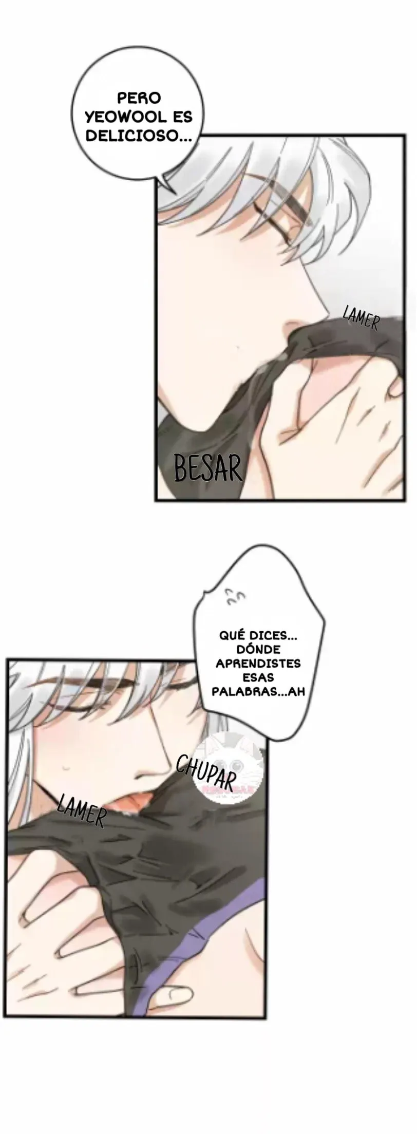 Mi único gato Capítulo 19 en Línea - página 15