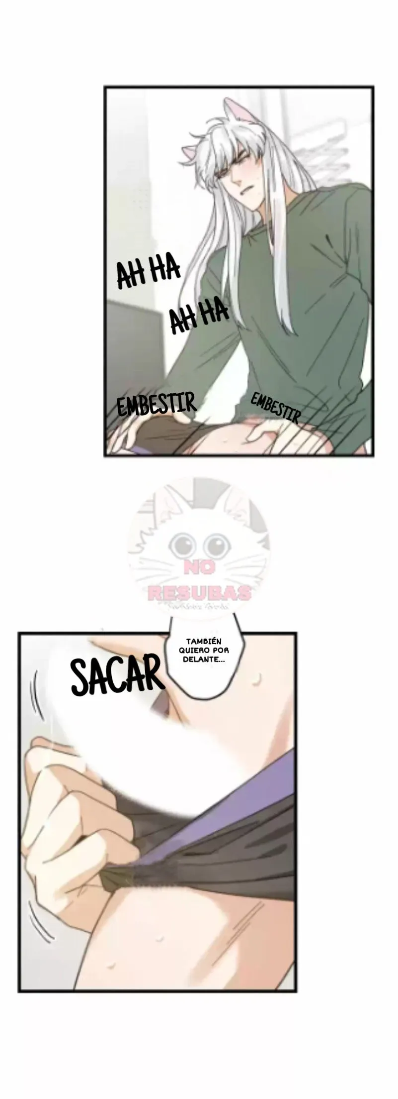 Mi único gato Capítulo 19 en Línea - página 21