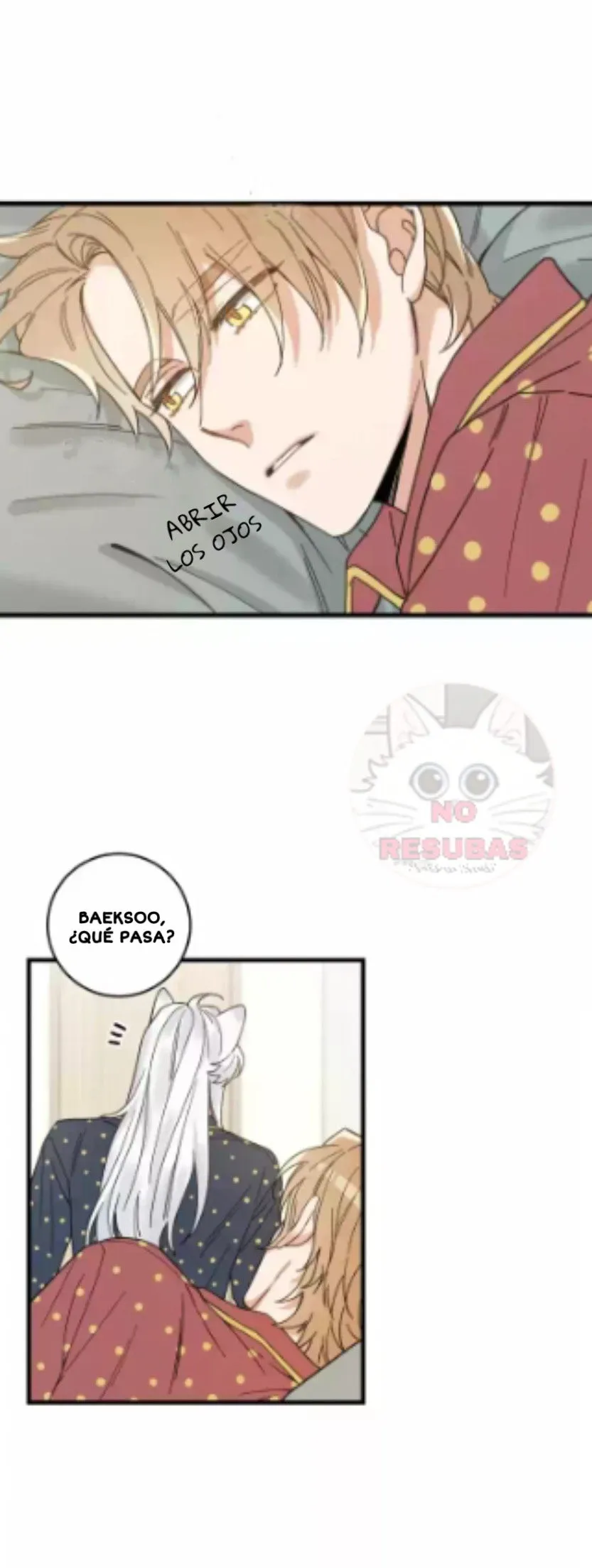 Mi único gato Capítulo 19 en Línea - página 24
