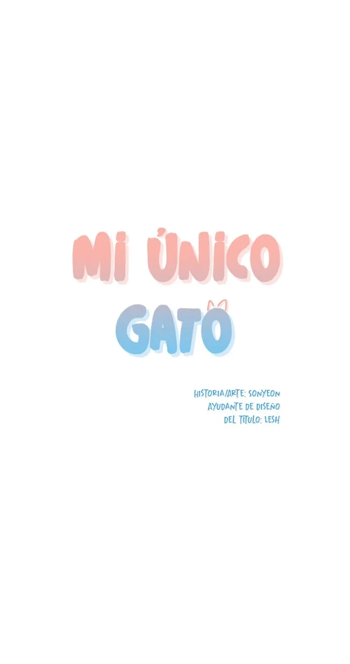 Mi único gato Capítulo 2 en Línea - página 4