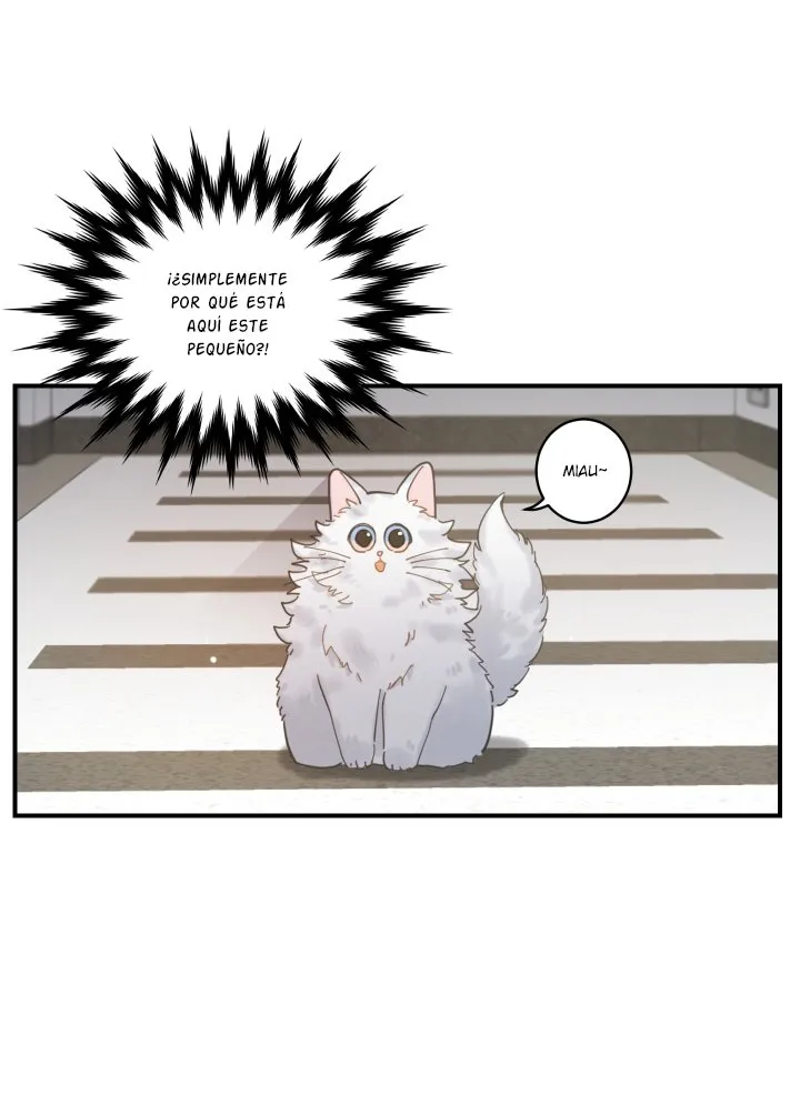 Mi único gato Capítulo 2 en Línea - página 9