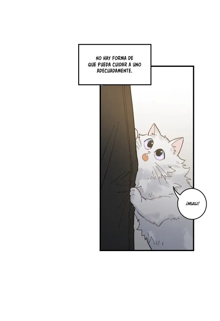 Mi único gato Capítulo 2 en Línea - página 13