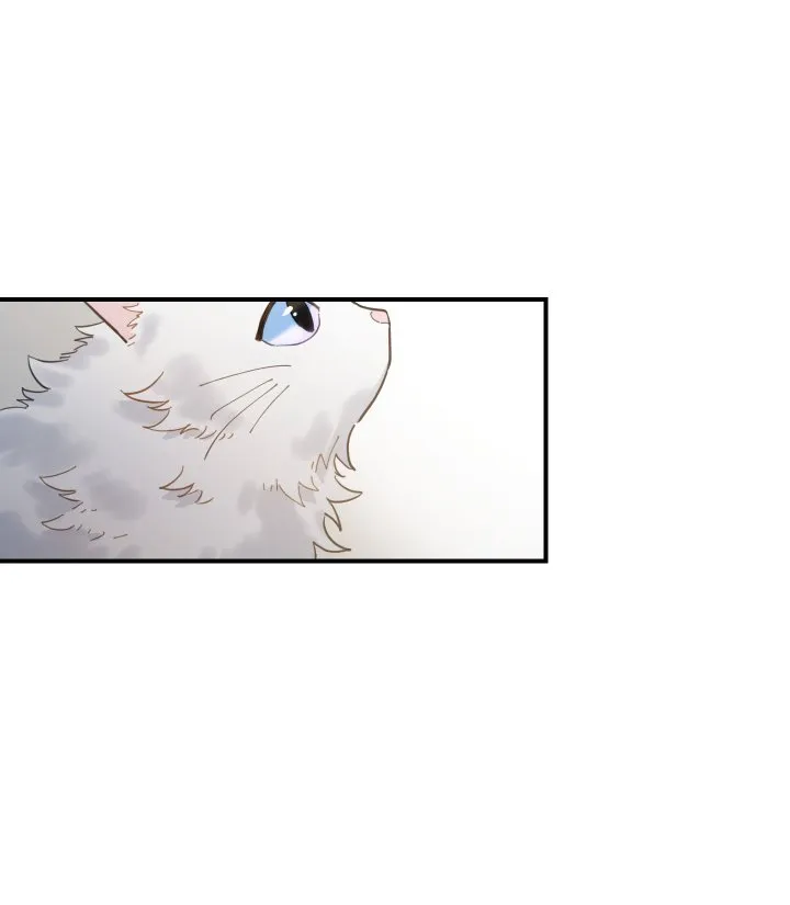 Mi único gato Capítulo 2 en Línea - página 18
