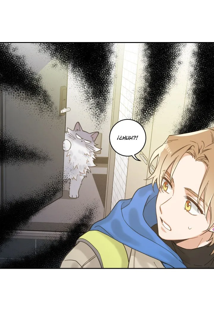 Mi único gato Capítulo 2 en Línea - página 20