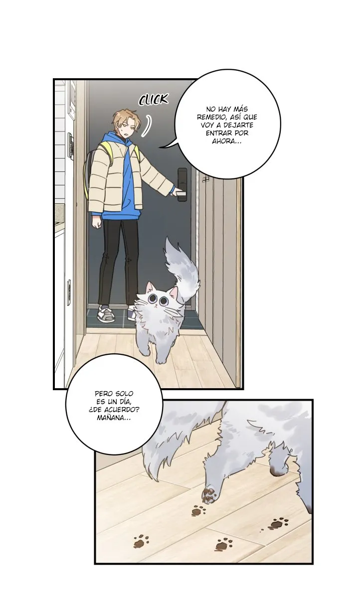 Mi único gato Capítulo 2 en Línea - página 26