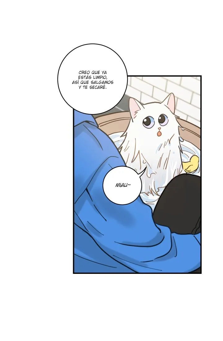 Mi único gato Capítulo 2 en Línea - página 31