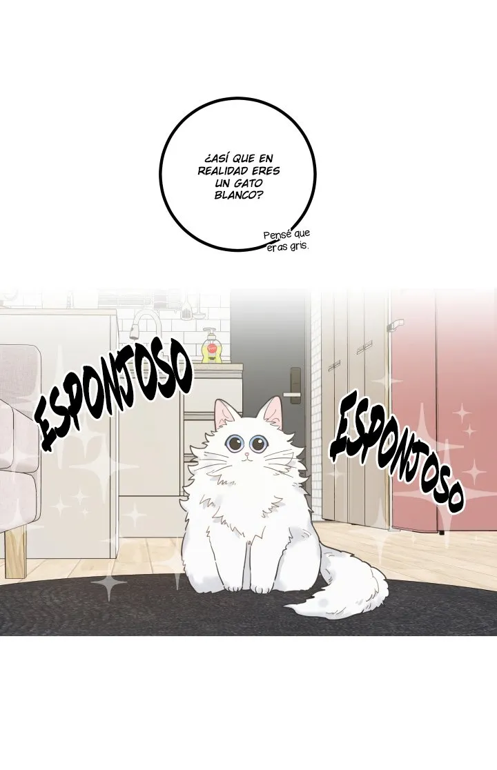 Mi único gato Capítulo 2 en Línea - página 34