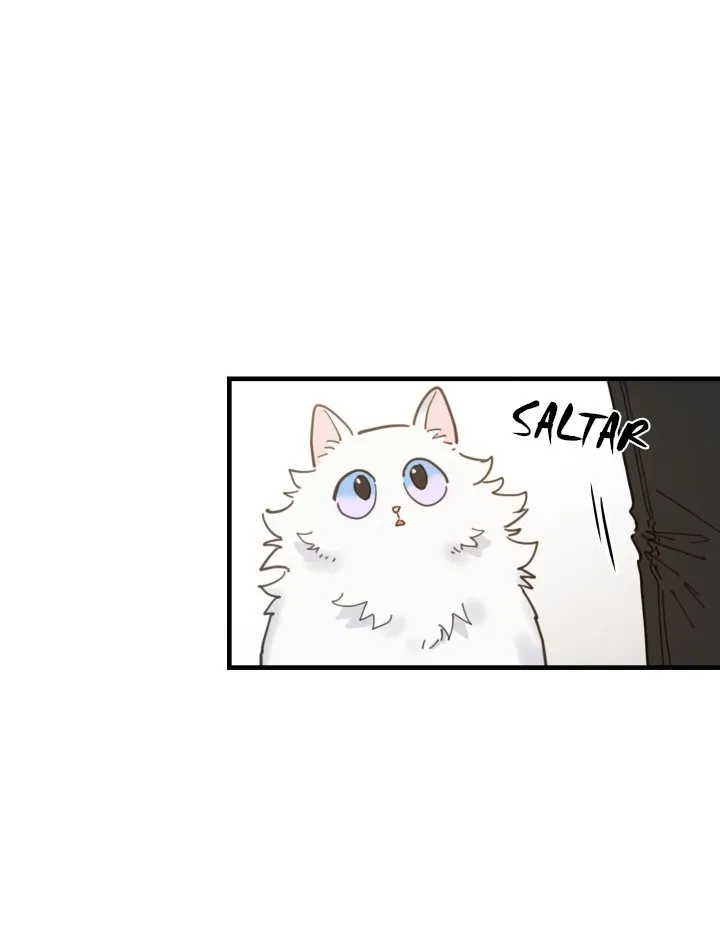 Mi único gato Capítulo 2 en Línea - página 36