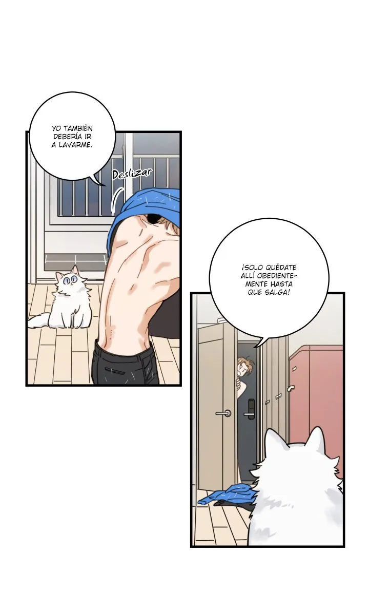 Mi único gato Capítulo 2 en Línea - página 37