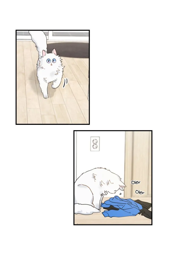 Mi único gato Capítulo 2 en Línea - página 39