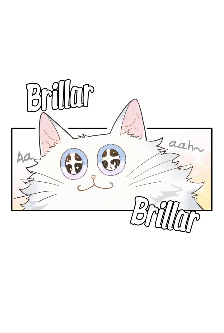 Mi único gato Capítulo 2 en Línea - página 40