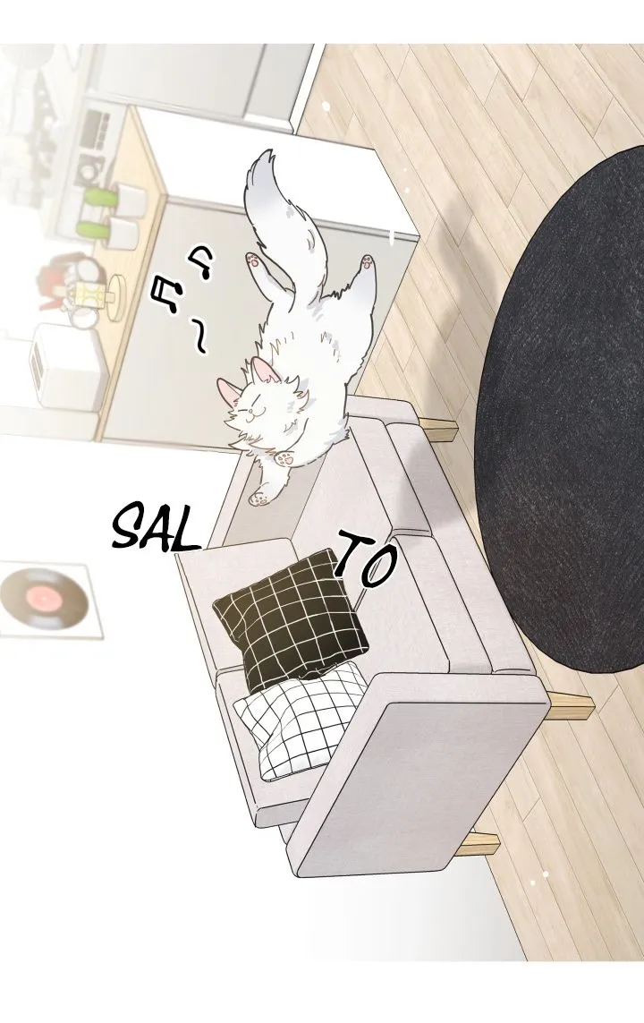 Mi único gato Capítulo 2 en Línea - página 41