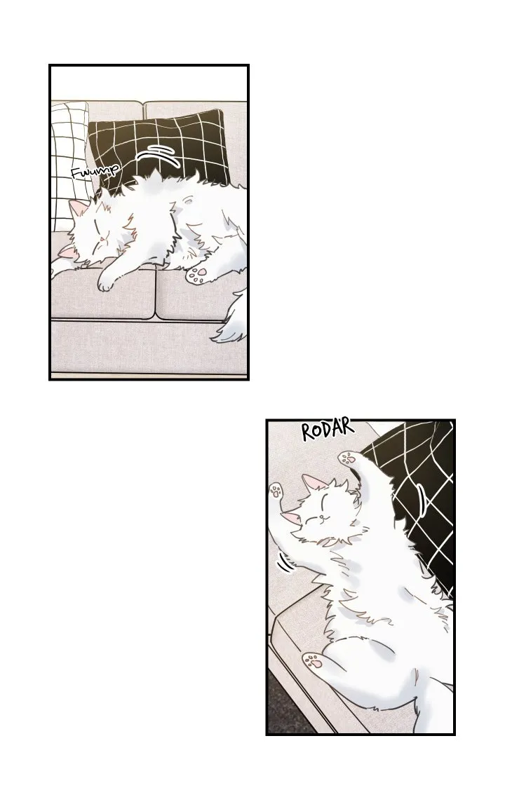 Mi único gato Capítulo 2 en Línea - página 42