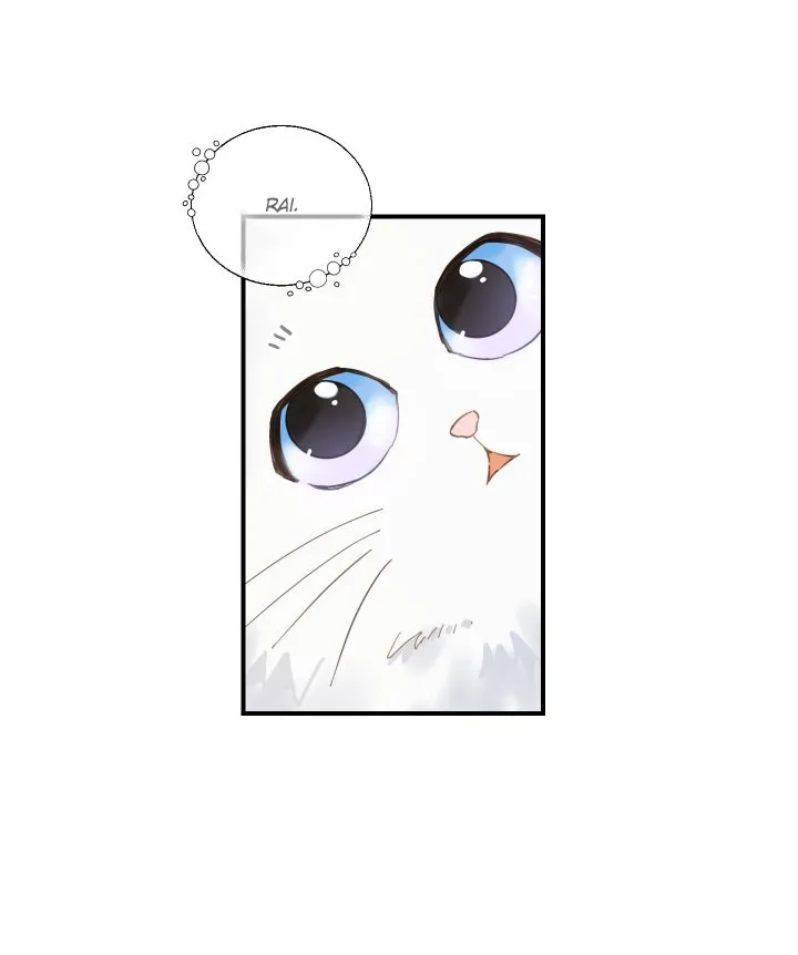 Mi único gato Capítulo 2 en Línea - página 43