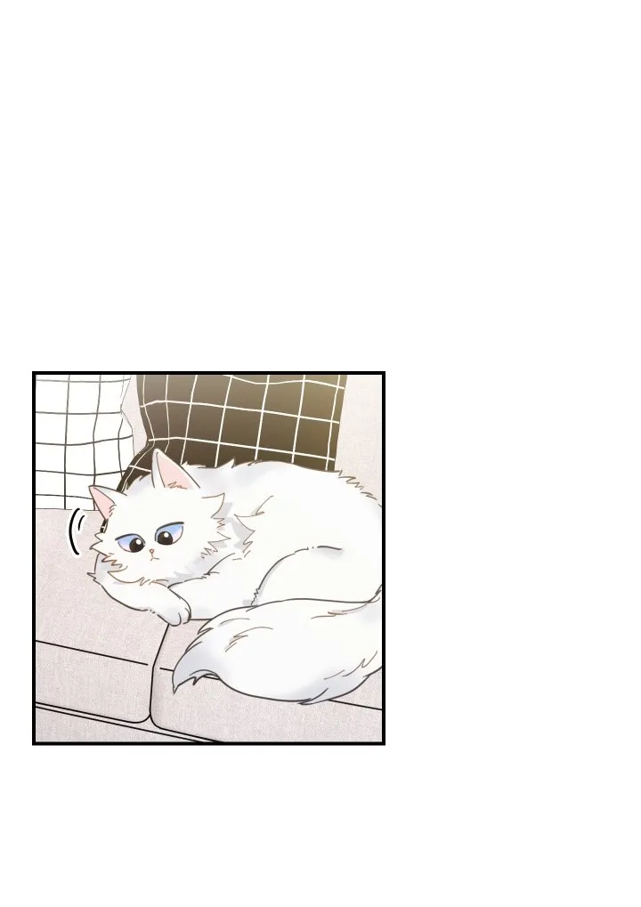 Mi único gato Capítulo 2 en Línea - página 46