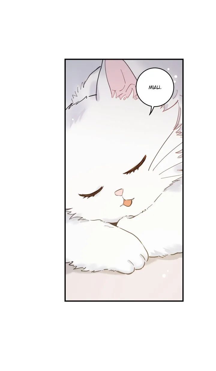 Mi único gato Capítulo 2 en Línea - página 47