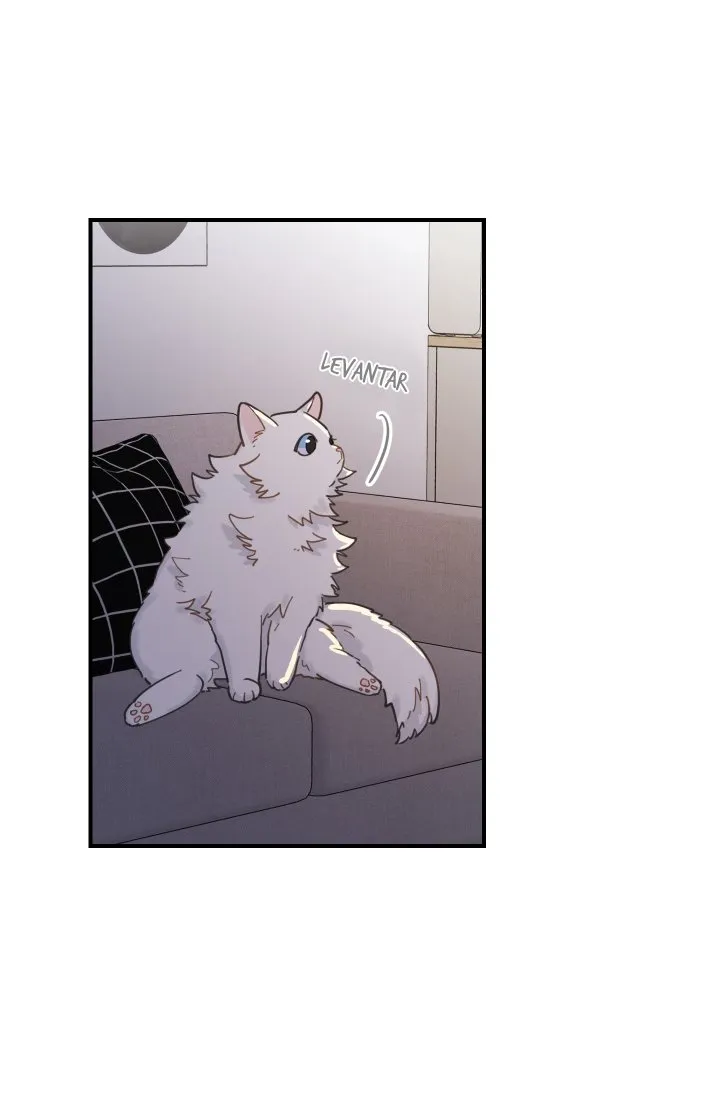 Mi único gato Capítulo 2 en Línea - página 50