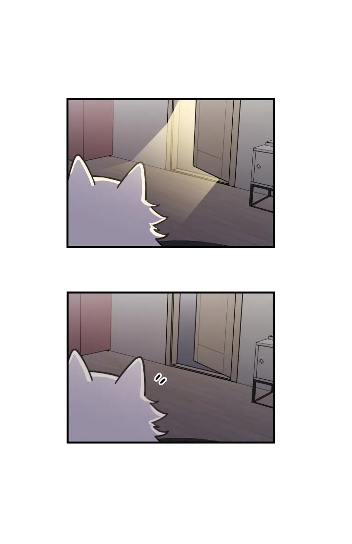 Mi único gato Capítulo 2 en Línea - página 51