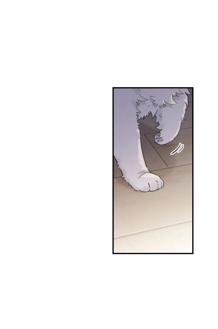 Mi único gato Capítulo 2 en Línea - página 52