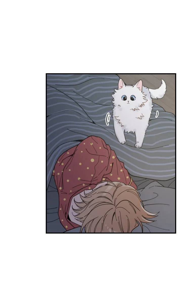 Mi único gato Capítulo 2 en Línea - página 54