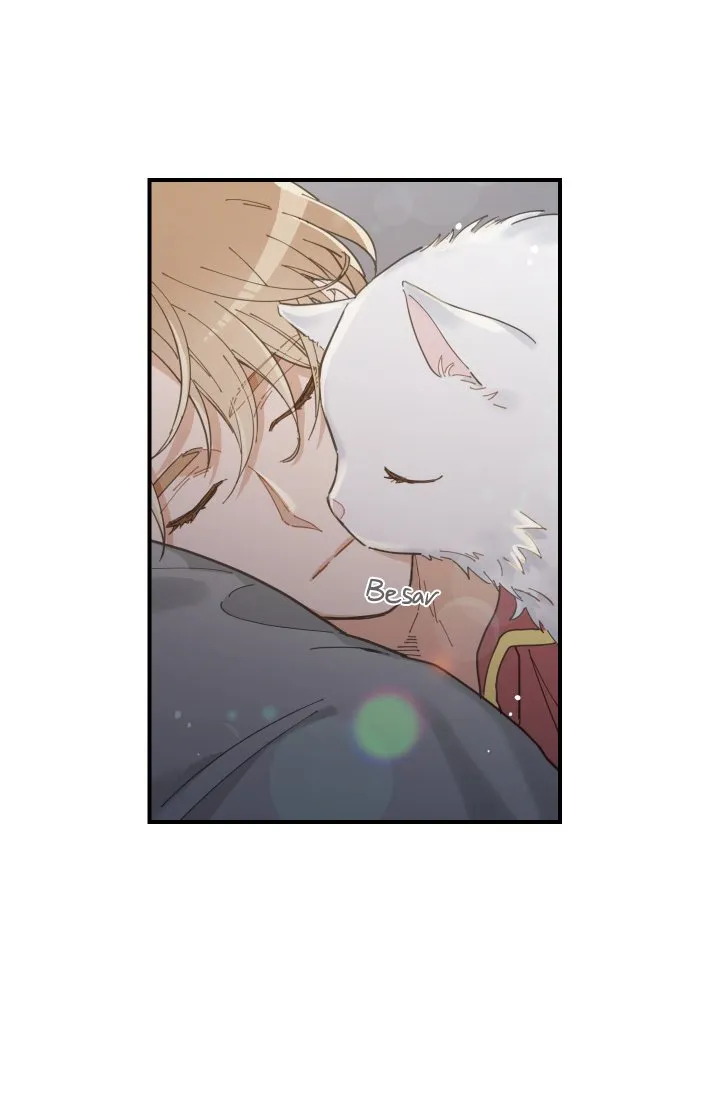 Mi único gato Capítulo 2 en Línea - página 57
