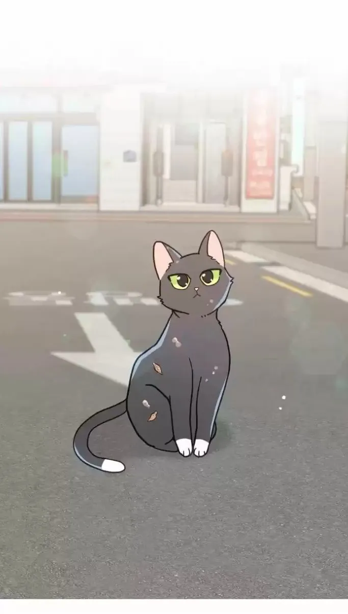 Mi único gato Capítulo 20 en Línea - página 20