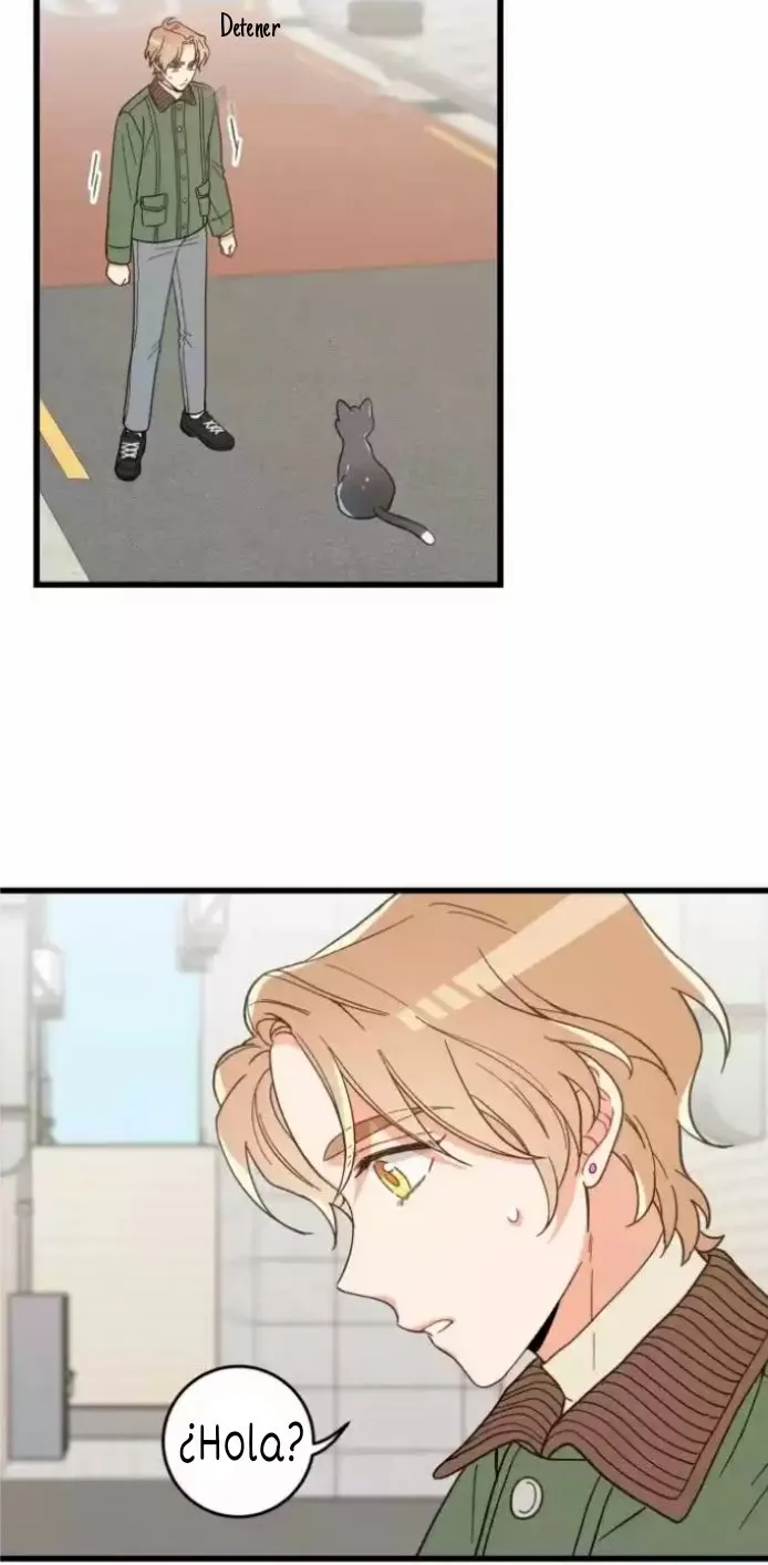 Mi único gato Capítulo 20 en Línea - página 21