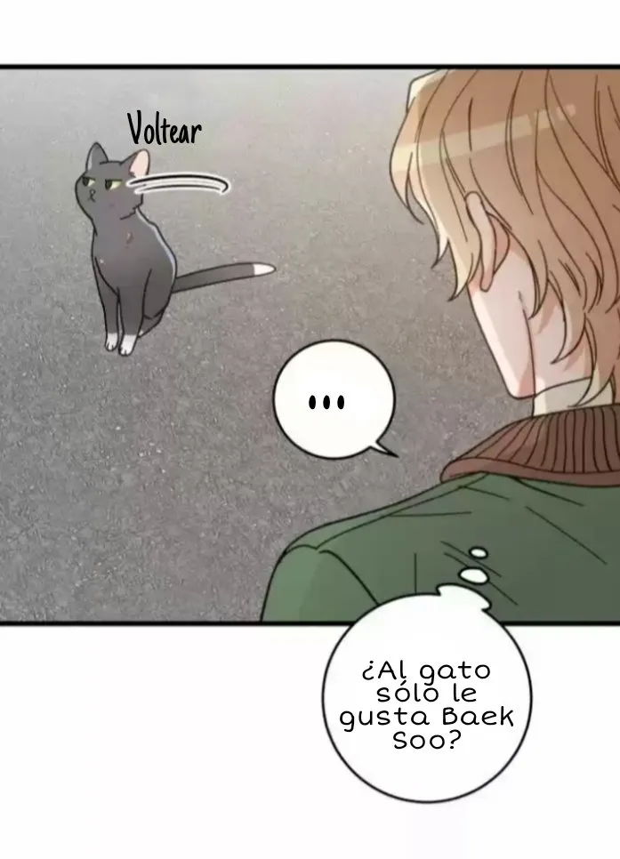 Mi único gato Capítulo 20 en Línea - página 22