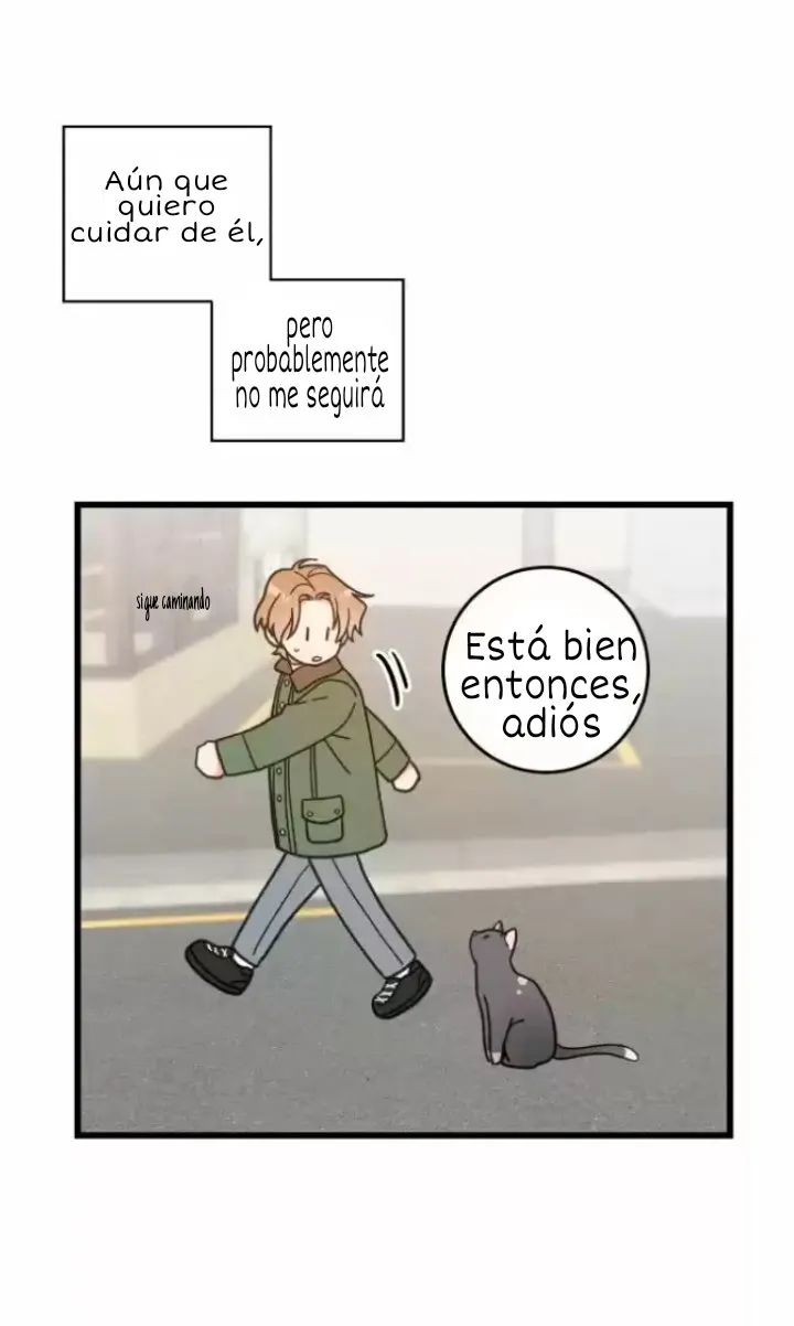 Mi único gato Capítulo 20 en Línea - página 24