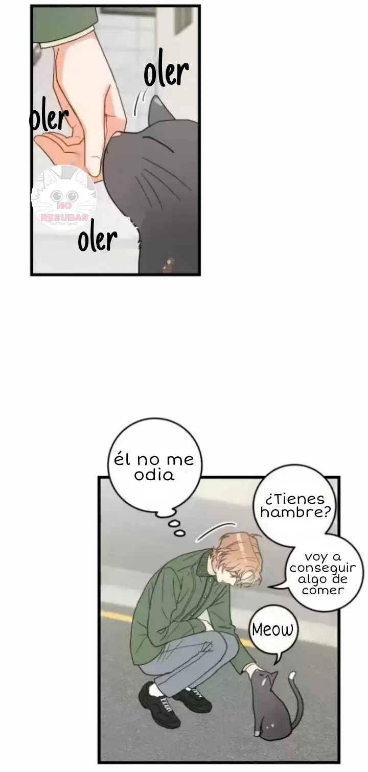 Mi único gato Capítulo 20 en Línea - página 26