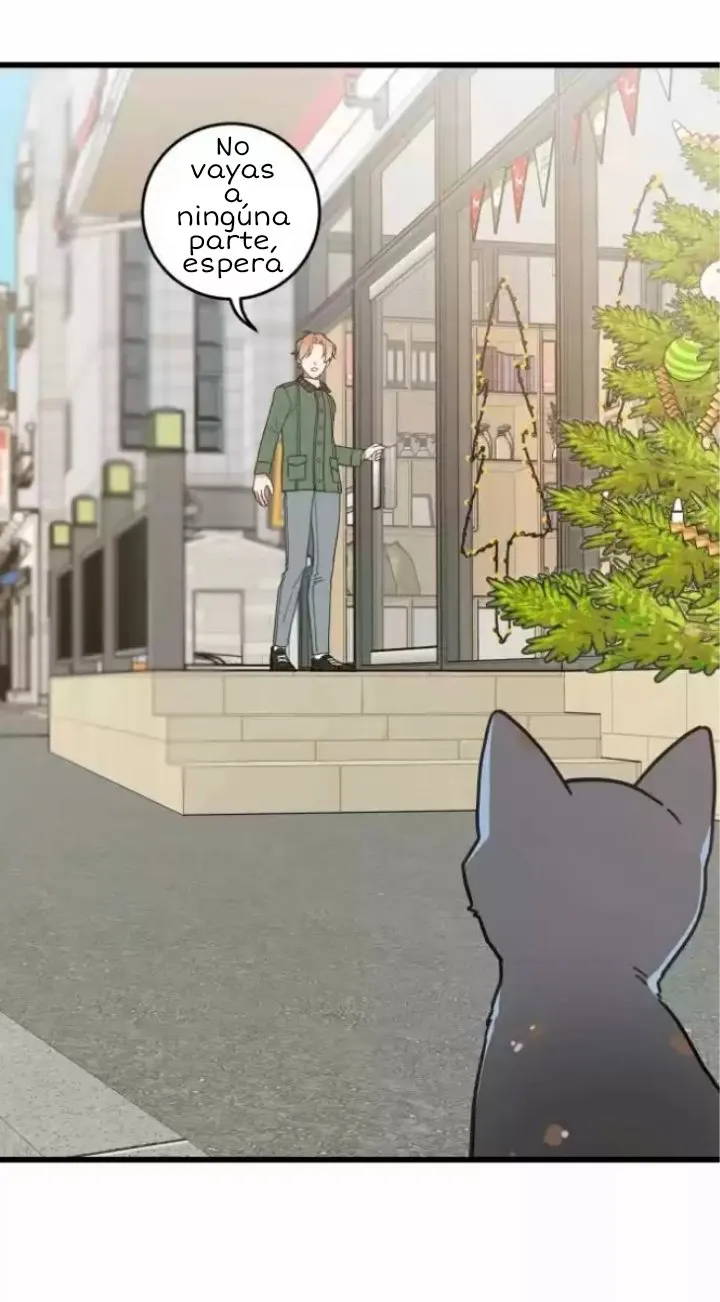 Mi único gato Capítulo 20 en Línea - página 27