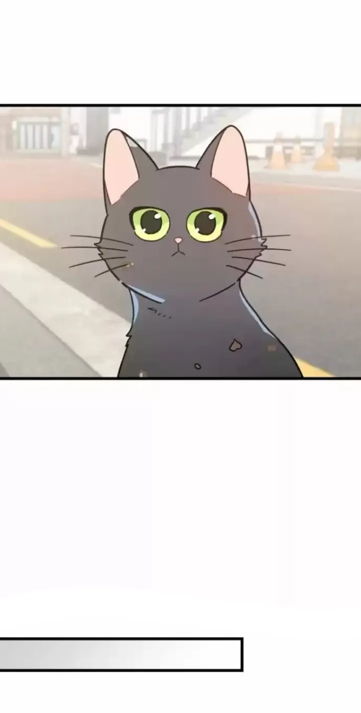 Mi único gato Capítulo 20 en Línea - página 28