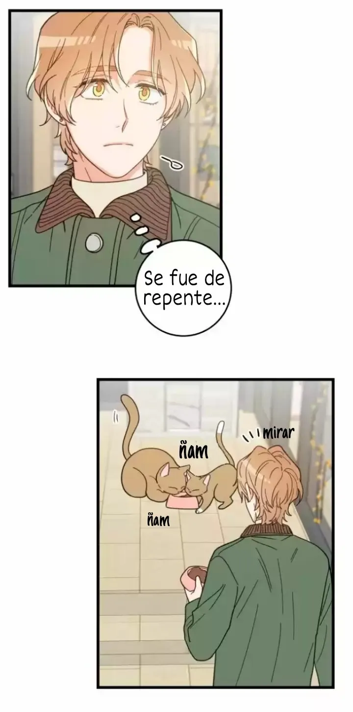 Mi único gato Capítulo 20 en Línea - página 31