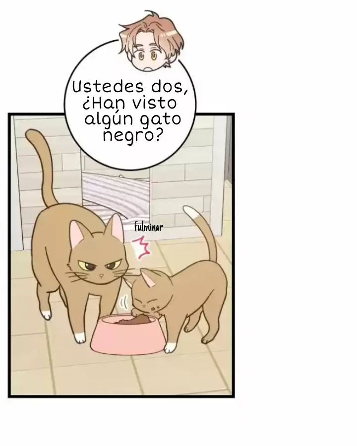 Mi único gato Capítulo 20 en Línea - página 32