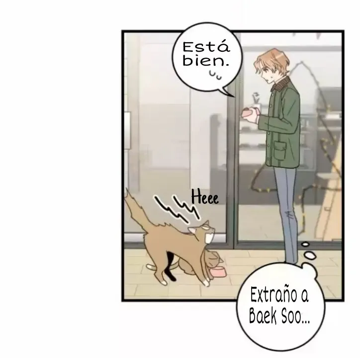 Mi único gato Capítulo 20 en Línea - página 33