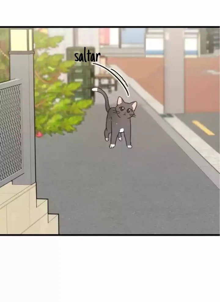 Mi único gato Capítulo 20 en Línea - página 36