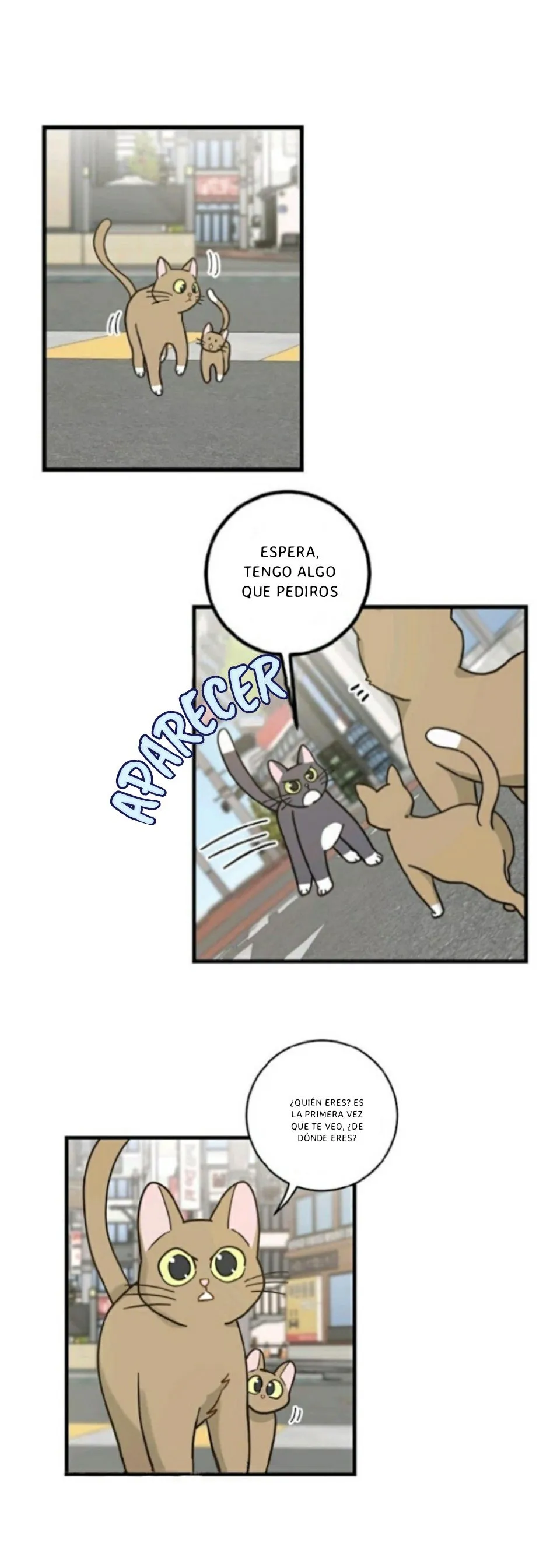 Mi único gato Capítulo 21 en Línea - página 2
