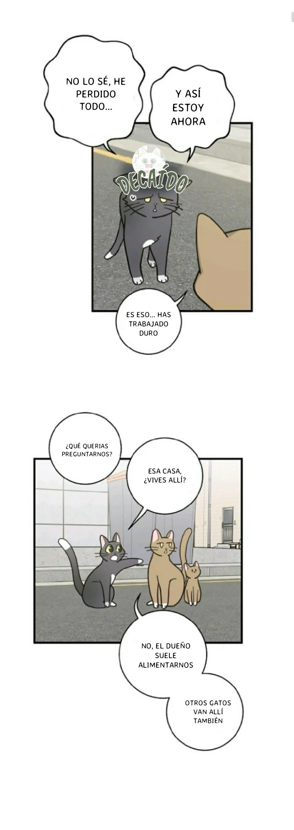 Mi único gato Capítulo 21 en Línea - página 3
