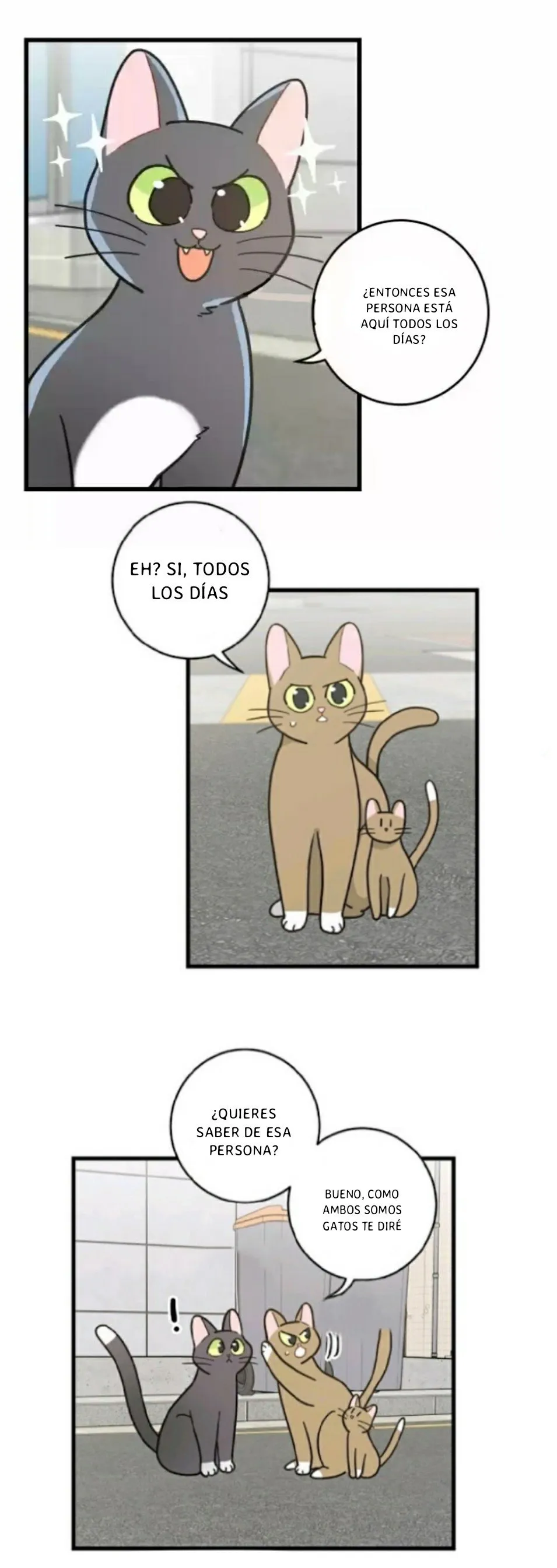 Mi único gato Capítulo 21 en Línea - página 4