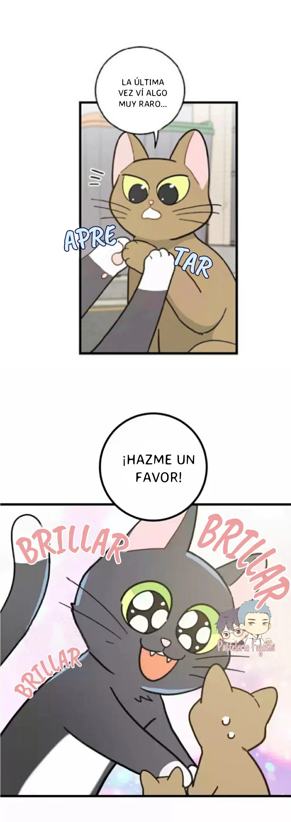 Mi único gato Capítulo 21 en Línea - página 5