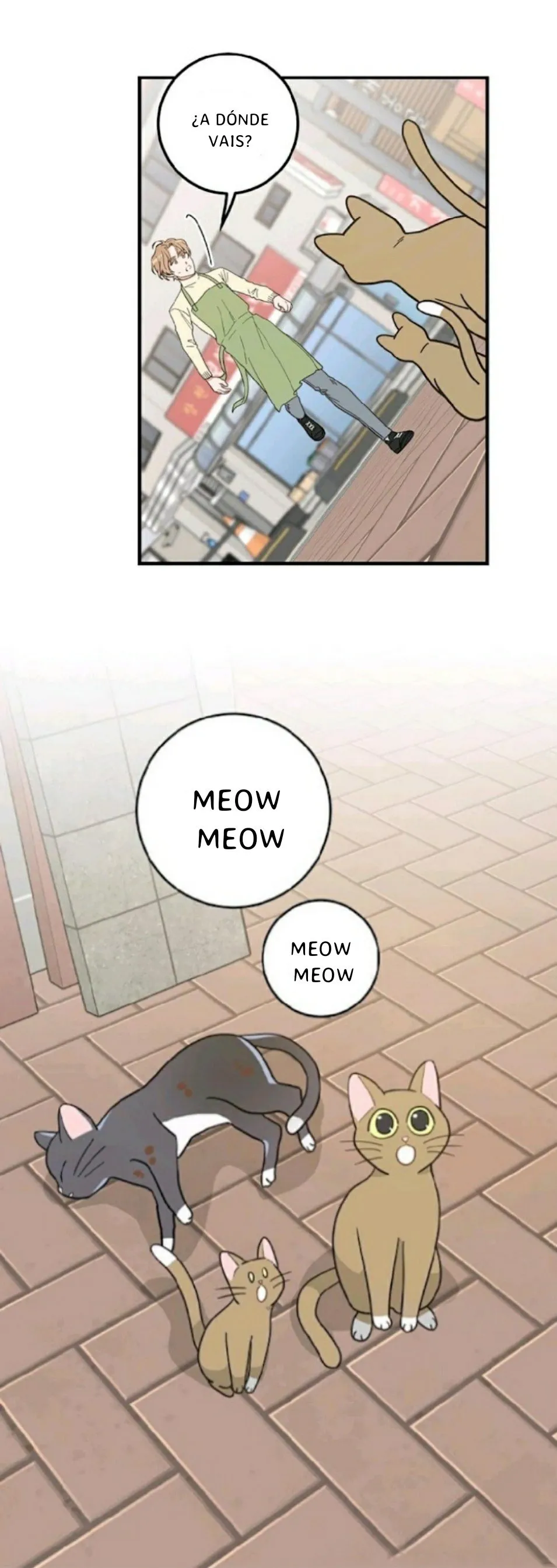 Mi único gato Capítulo 21 en Línea - página 10