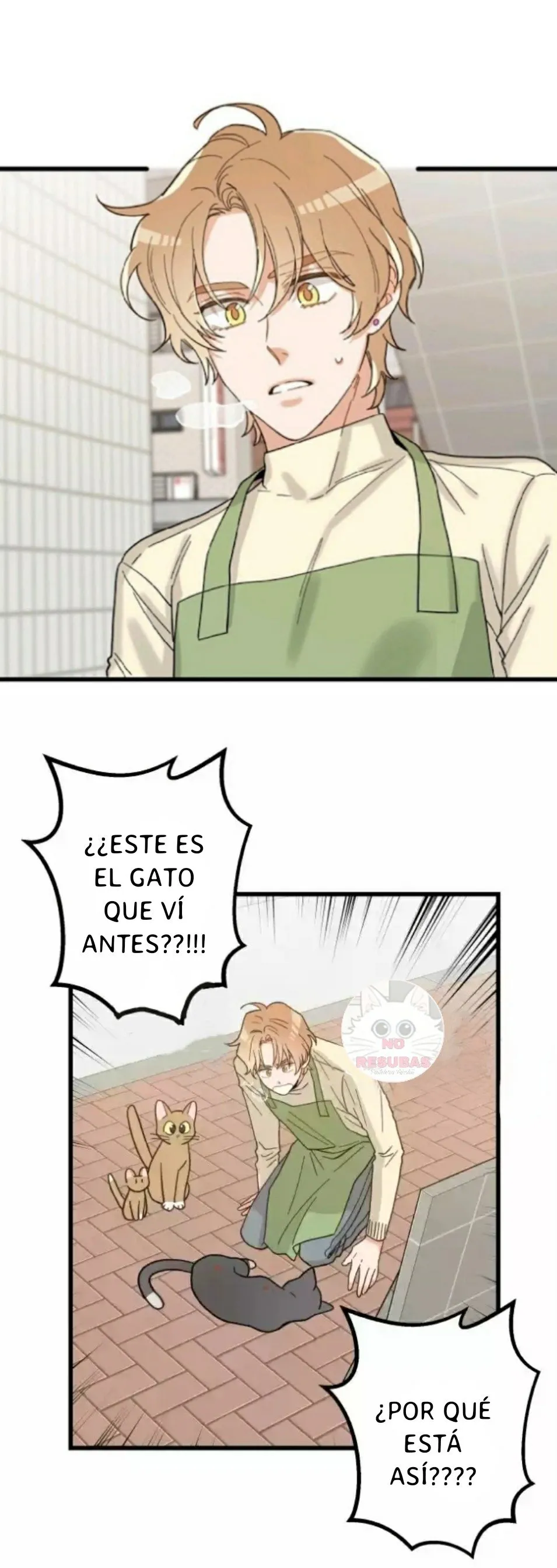 Mi único gato Capítulo 21 en Línea - página 11